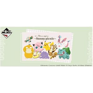 Pokémon anytime ～Sunny picnic～（4月7日發售)