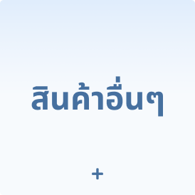 สินค้าอื่นๆ