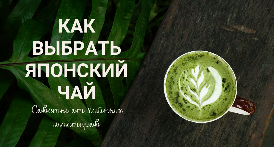 Как выбрать японский чай