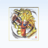Shikishi di carte Dragon Ball