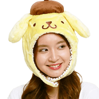 Apparel Japanese Sanrio Merch