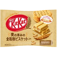 Şimdi Tam Buğday Bisküvili Japon Çikolata ve Aburcuburları