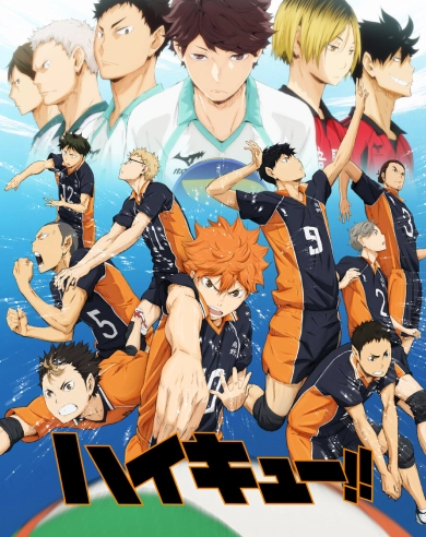 Haikyuu Anime goods