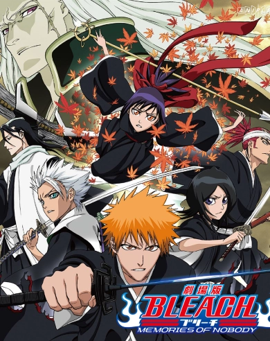 Bleach Anime goods