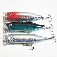  Feed Popper 70 Lure 