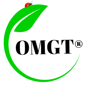 مع ZenMarket OMGT 