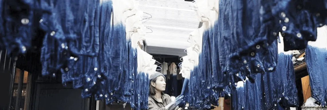 Natural indigo plant dye