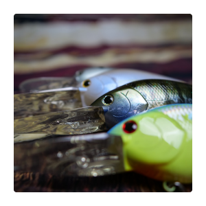 lure shop B-farm 