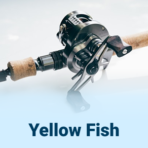 Yellow Fish Sporting Goods from Japan