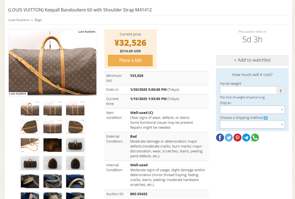 JDirectItems Auction louis vuitton bag on zenmarket