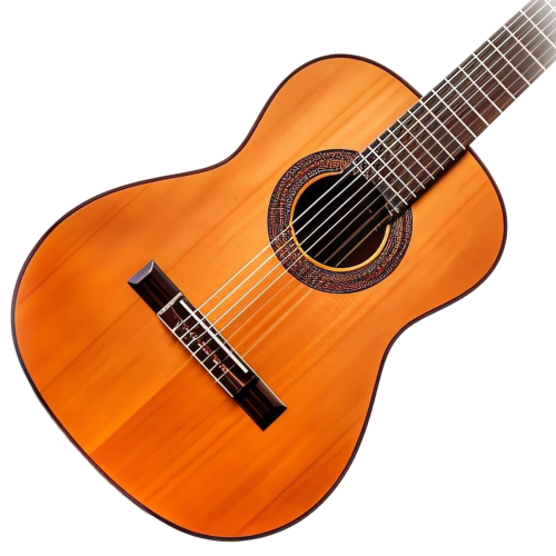 Acoustic guitars