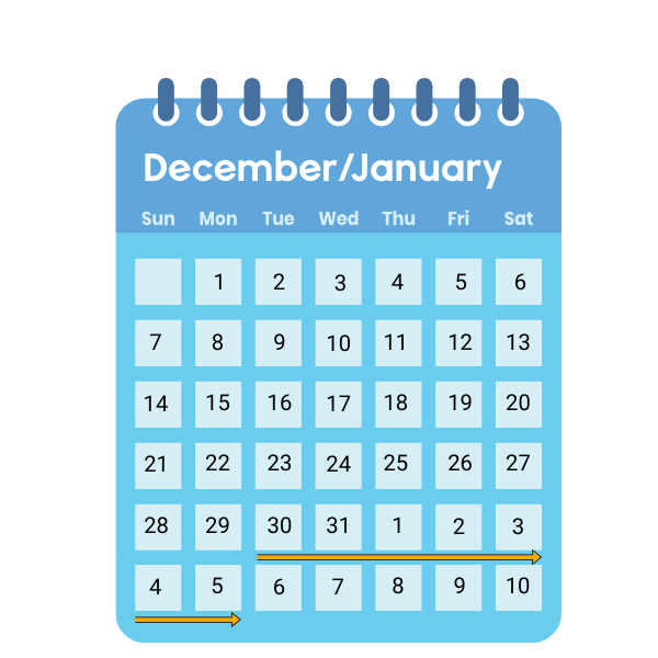 2025 Japanese New Years Holidays