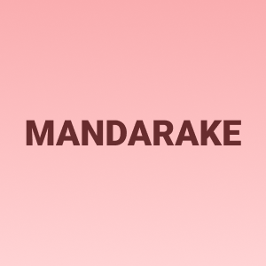Mandarake 