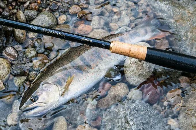 Tenkara